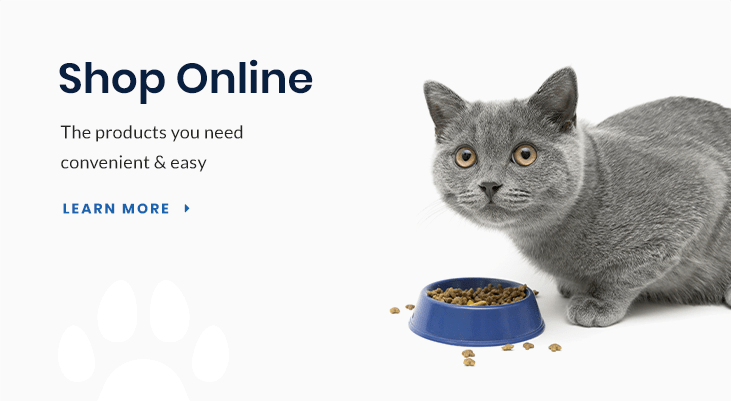 Shop for Pet Products Online in Smokey Point